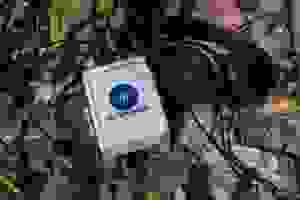 sounding_soil.jpg
