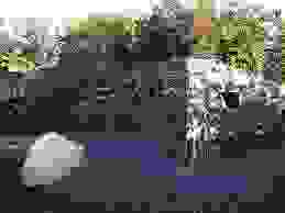 erdreich.jpg