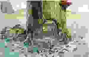 bodenreise.jpg