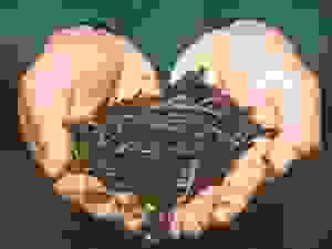 eprouvette.jpeg
