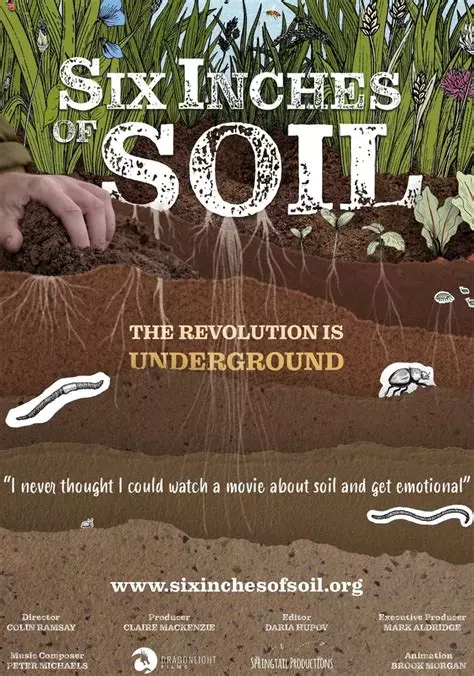 six_inches_of_soil.webp